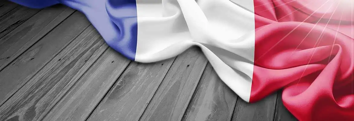 Francês Básico Francês Básico