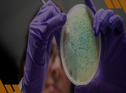 Microbiologia