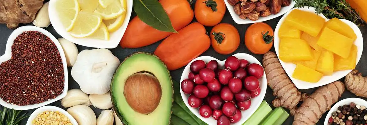 Alimentação Alternativa Alimentação Alternativa