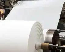 Tecnologia do Papel e Celulose Tecnologia do Papel e Celulose