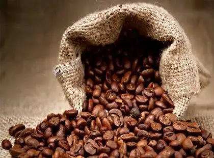 História do Brasil: O Império e o Café História do Brasil: O Império e o Café