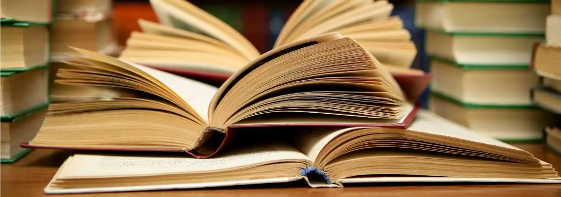 Língua Portuguesa e Literatura Brasileira Língua Portuguesa e Literatura Brasileira