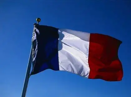 Francês Básico Francês Básico