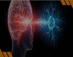 Neurociências